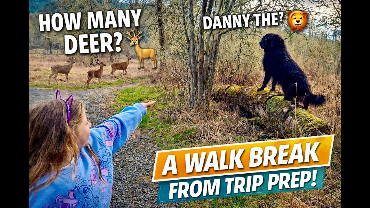 Danny Thinks He's the Lion King!! • A Walk Break from Prepping! | TSV 3758