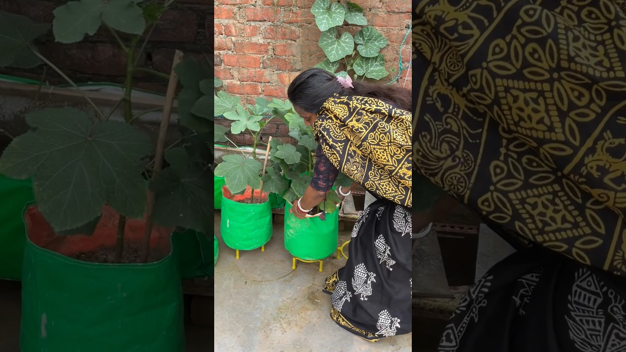 🍀 GROW BAG STAND (COMMENT FOR LINK)#shortsfeed #garden #terracegardenindia #yt #potstand #shorts