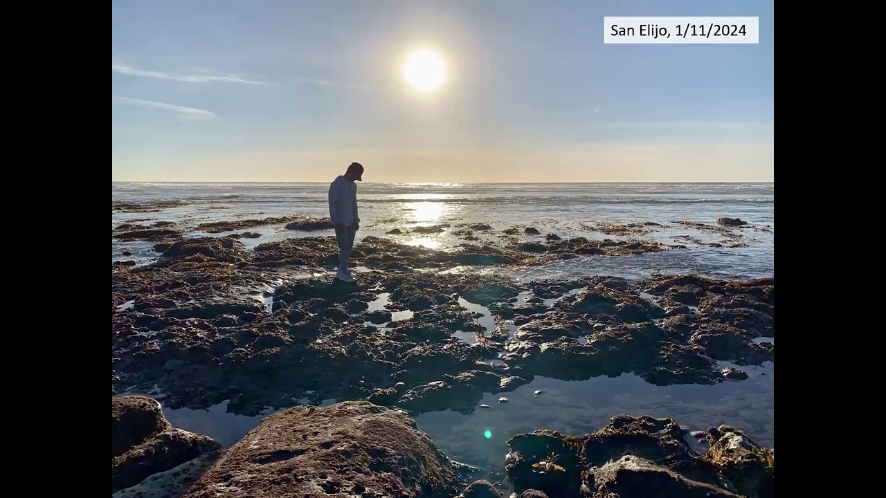 Королевские приливы и Калифорнийский проект «Королевские приливы»