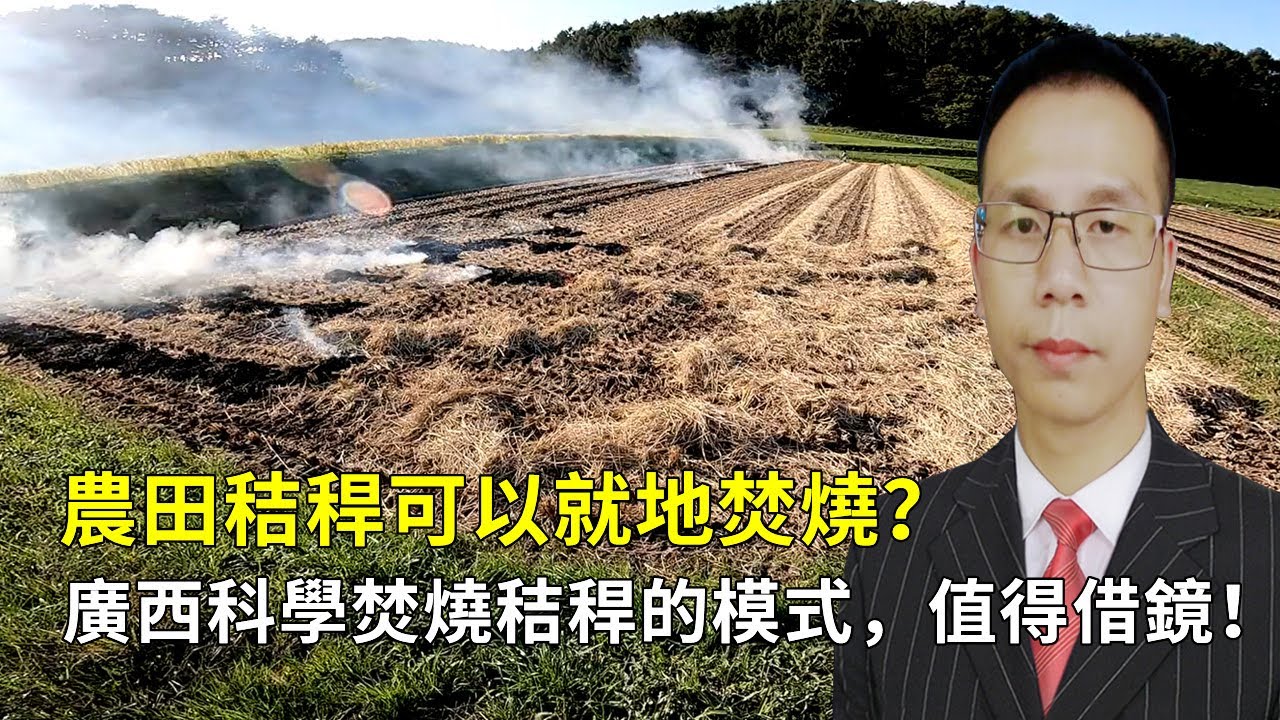 農田秸稈可以就地焚燒？ 廣西科學焚燒秸稈的模式，值得借鏡！
