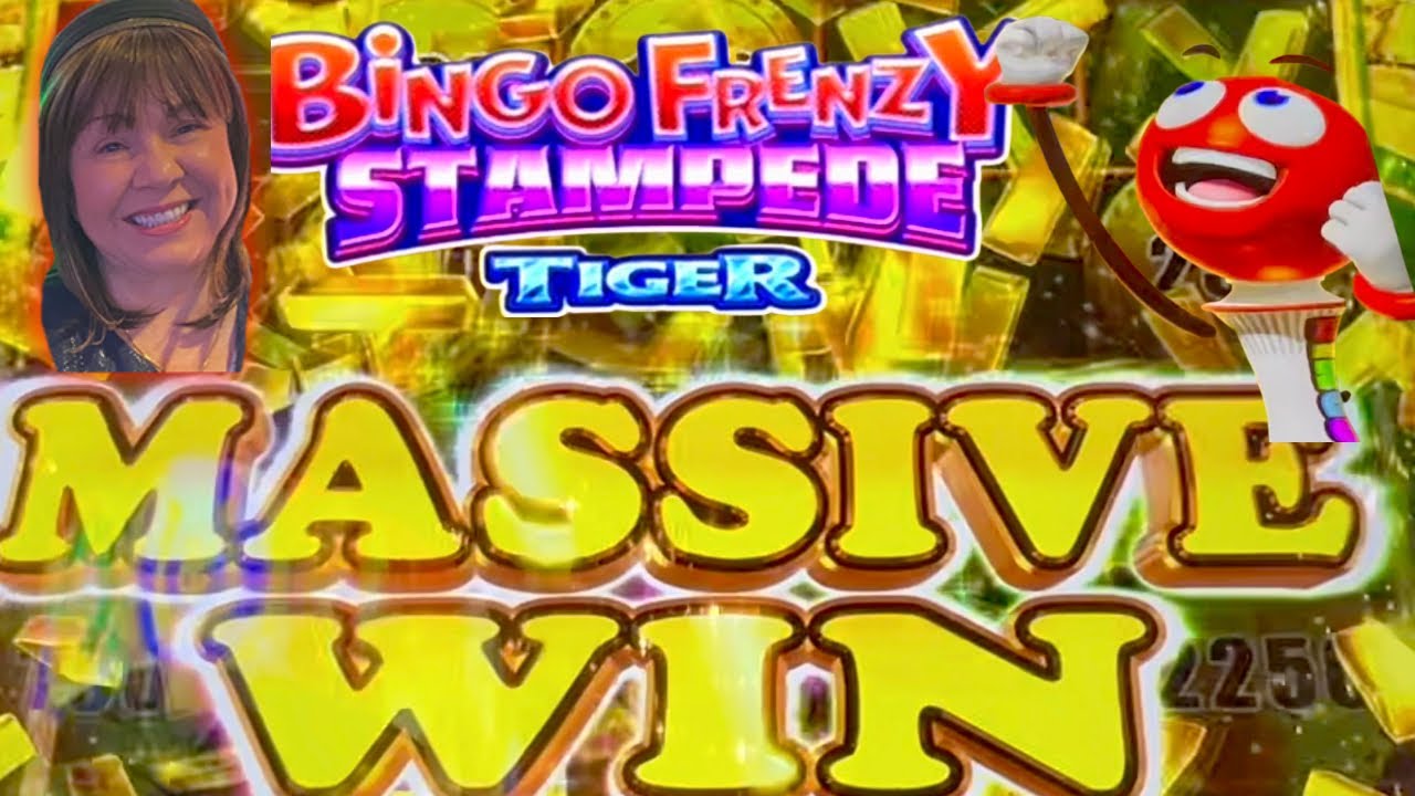 THIS IS WHY I LOVE BINGO FRENZY STAMPEDE!