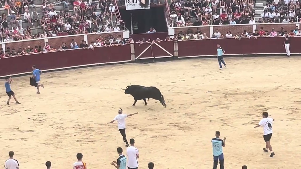 Primer encierro y capea Sanse 2025