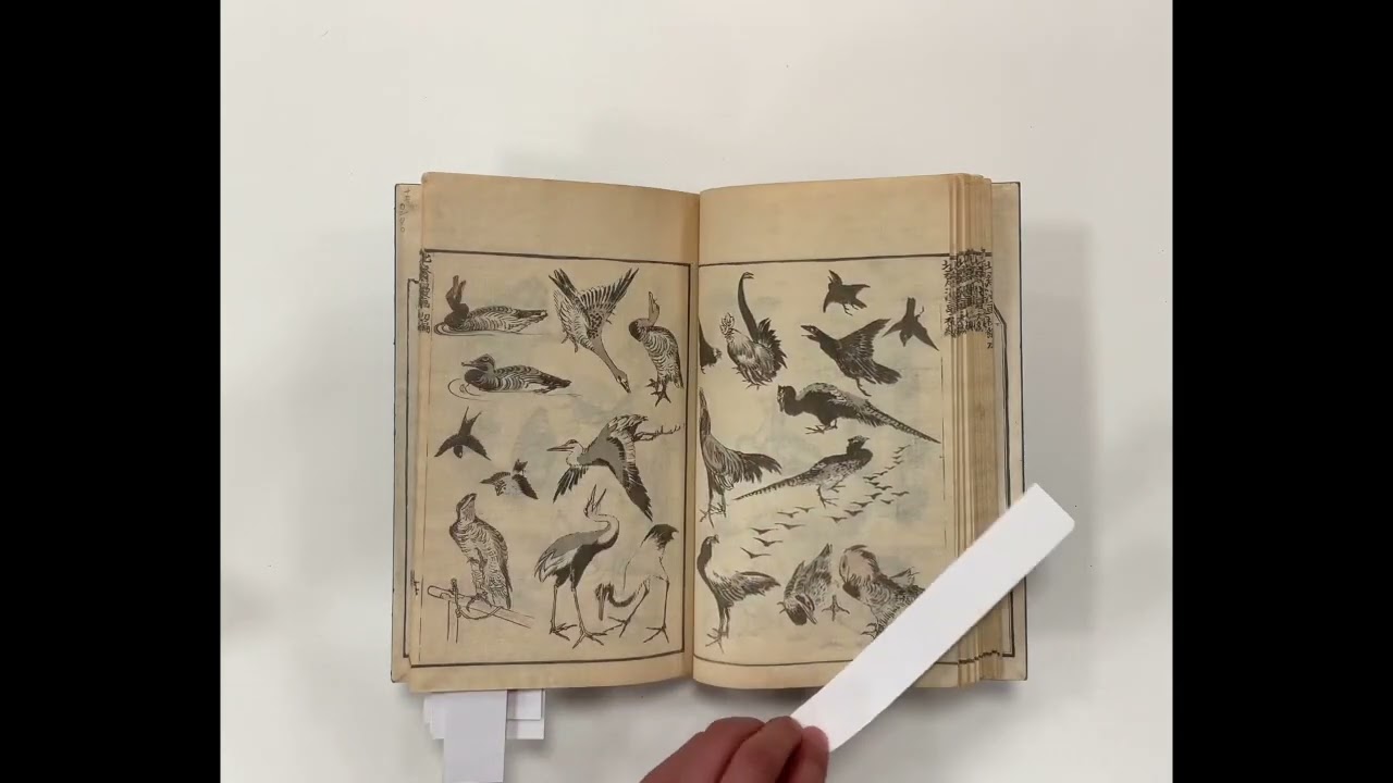 Hokusai Manga