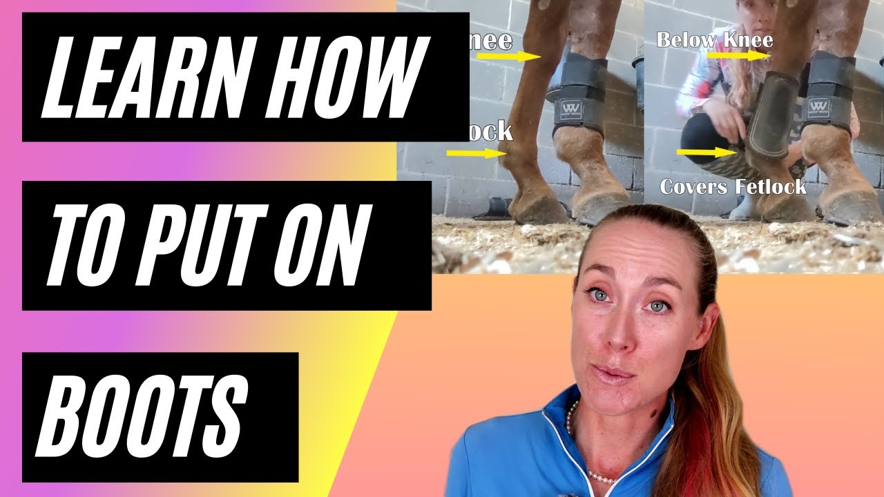 How to Put on Splint and Brushing Boots with a BONUS Polo wrapping Tutorial