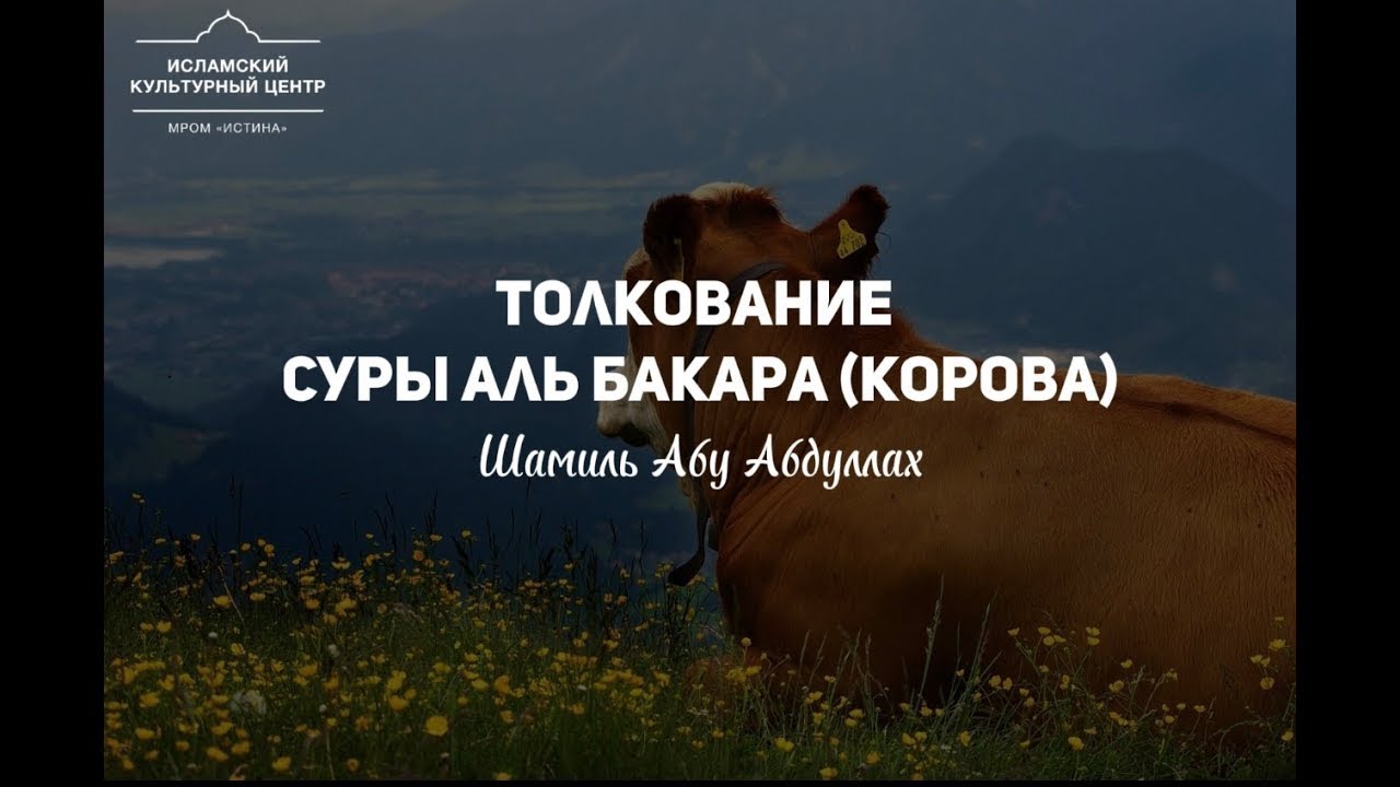 Тафсир Корана. 11 Урок. сура Аль-Бакара 58-62 аят. | Шамиль абу Абдуллах