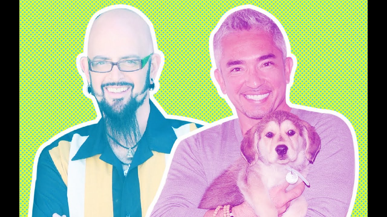 Get Your Pet Questions Answered by Cesar Millan and Jackson Galaxy