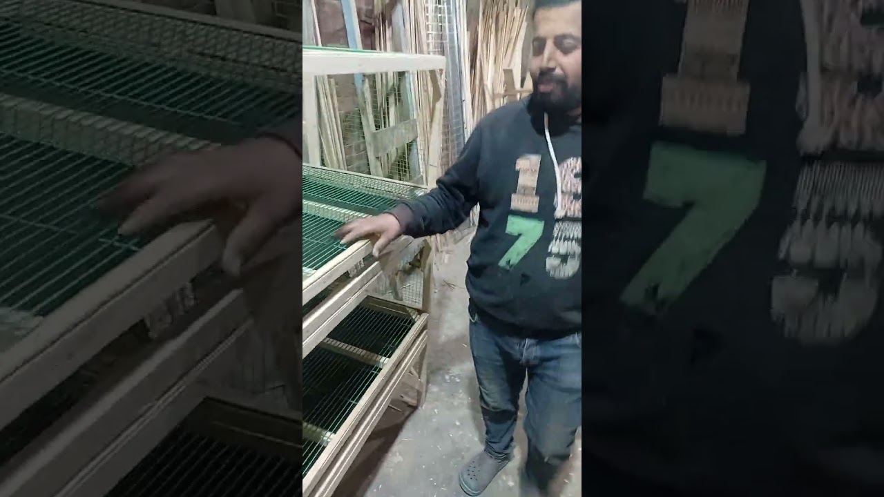 ٢٨ يناير ٢٠٢٦