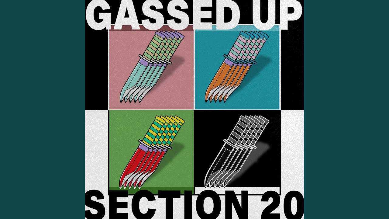 Section 20