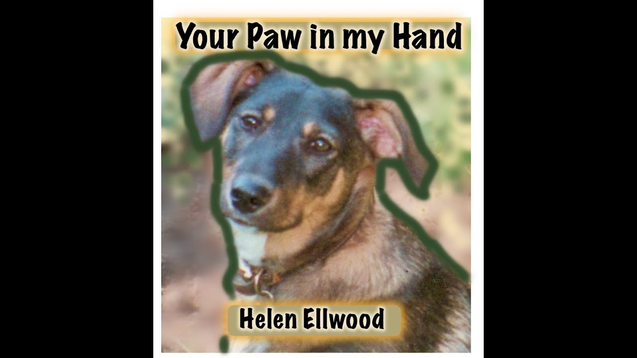 Is there is love beyond death? Animal/spiritual memoir.