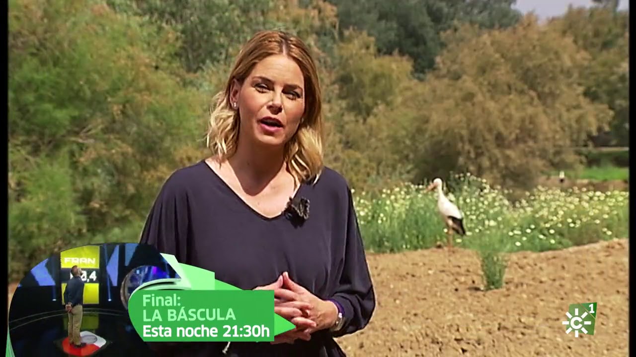Tierra y Mar | La oca andalusí