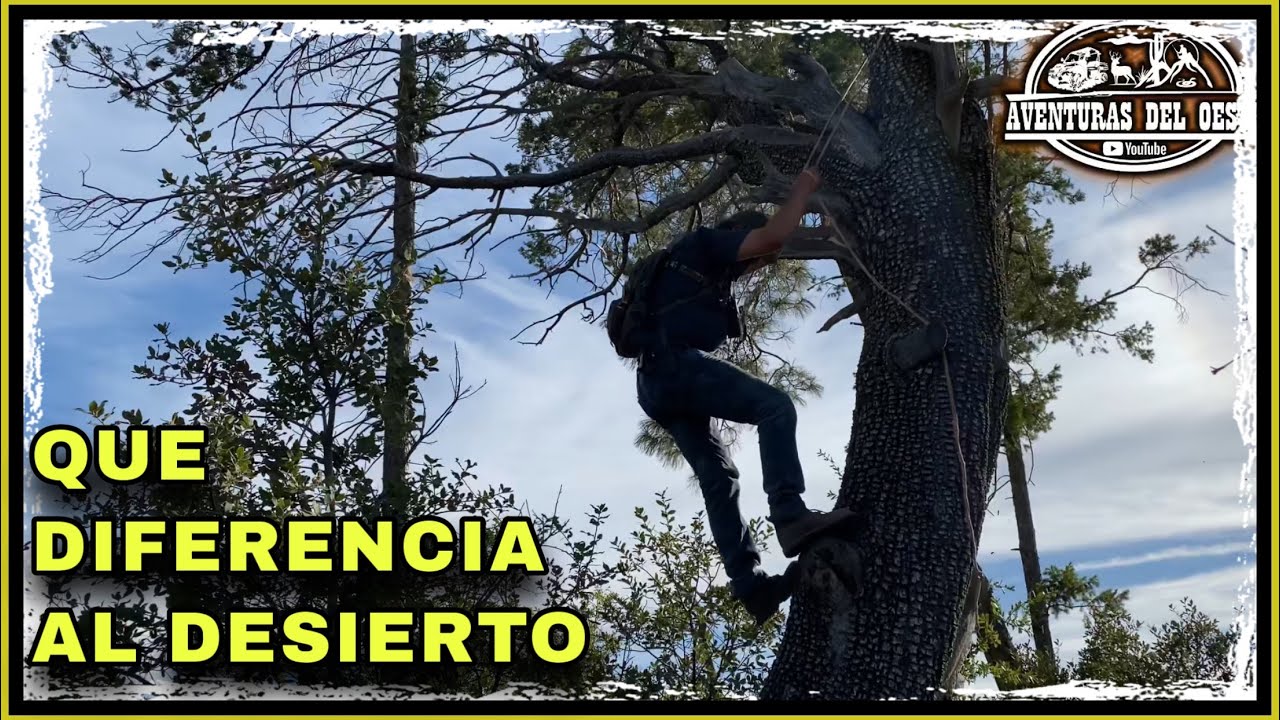 AVENTURA 102 DEL DESIERTO A LAS MONTAÑAS