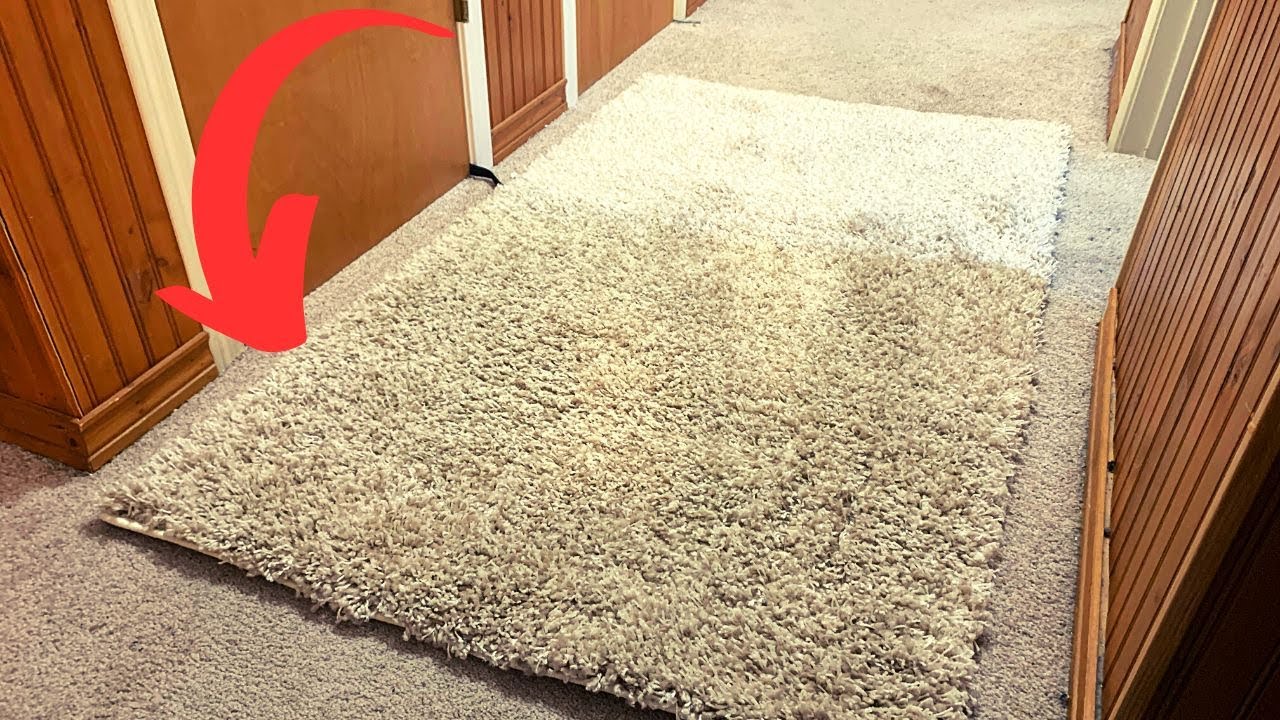 My One Problem with the Safavieh Shag Area Rug