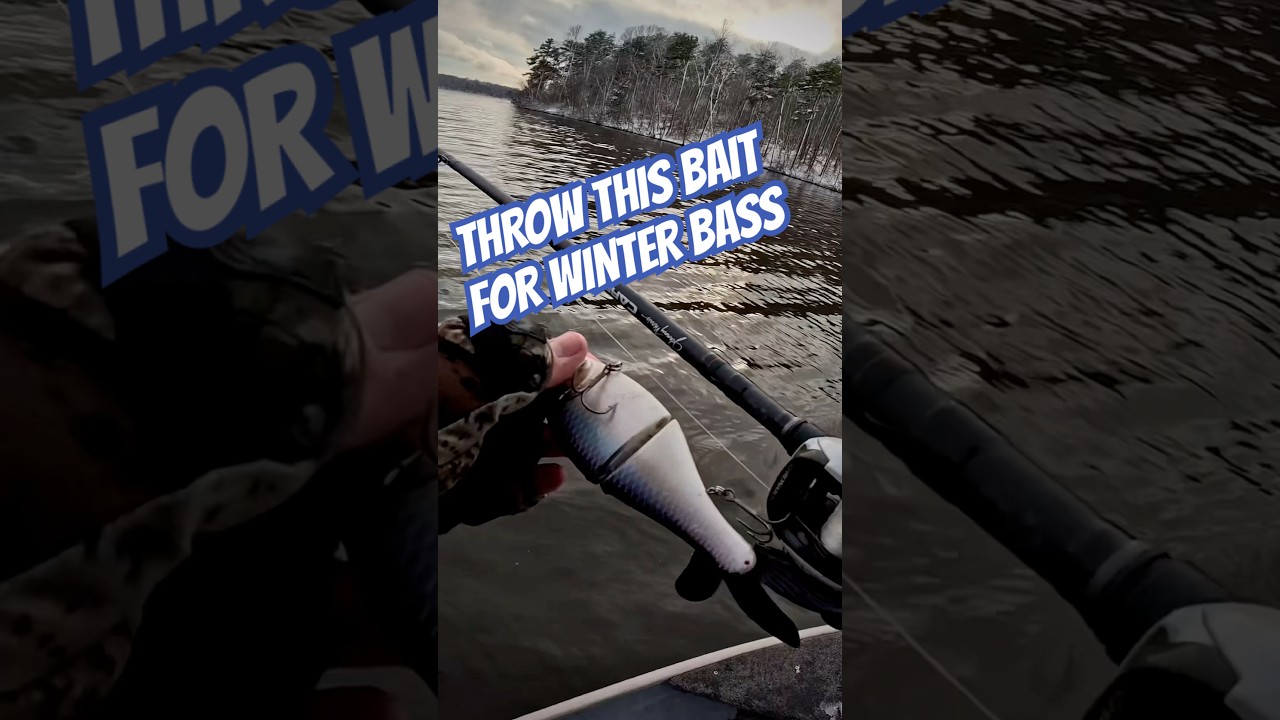 #bassfishing