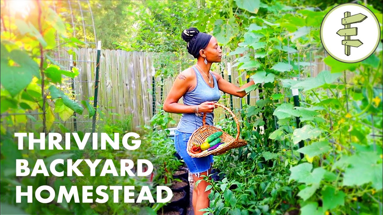 Woman's Incredible Backyard Homestead Produces TONS of Food for Her Family &ndash; URBAN GARDEN TOUR