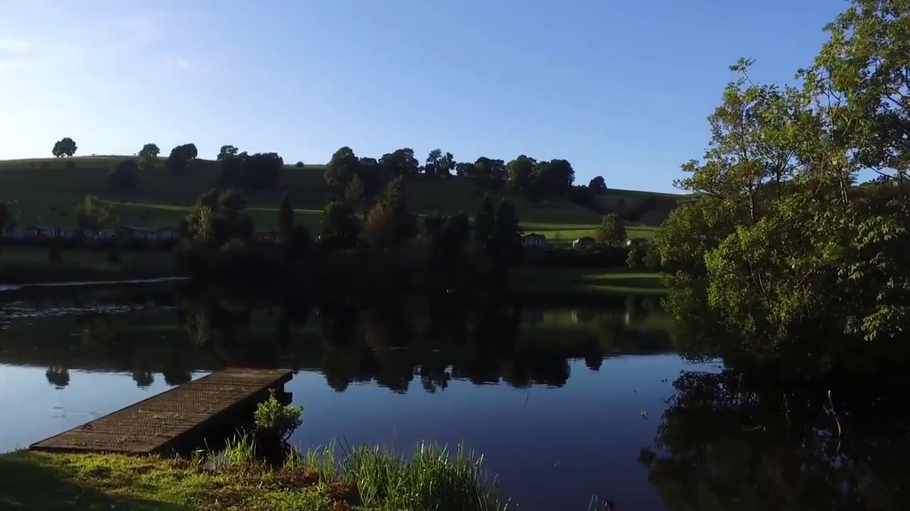 Take a Look Around The Park