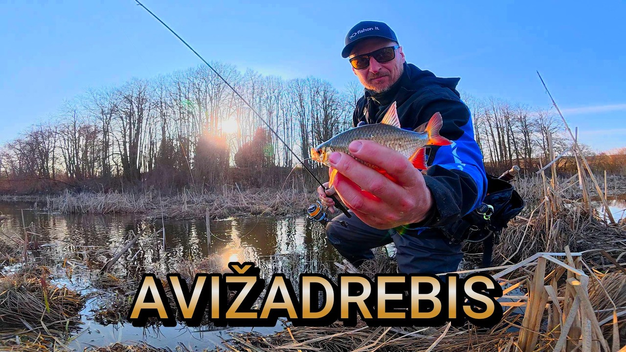 Pirmos žuvys avižadrebiu 2026m sezone. Erkės jau aktyvios!!!