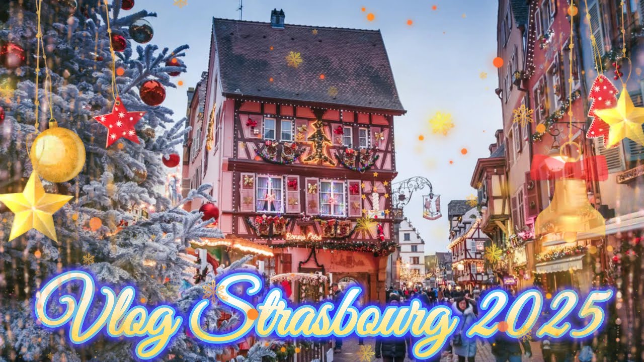 Vlog Strasbourg + Concert Gojira Zénith Eckbolsheim 2025.