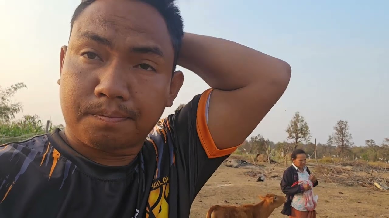 อากาศยามเช้าเรียกใช้พ่อใหญ่อ๋อยมาแทงเคางัวไห้