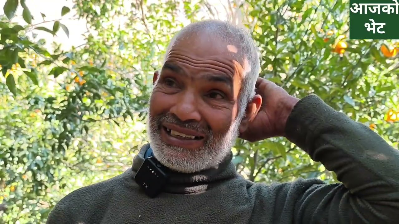 ४ राेपनीमा रमाई, सुन्तलाबाट ९ लाख कमाई