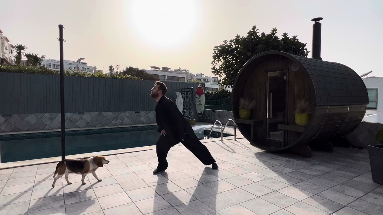 Shi Er Duan Jin - Form Part 5  (Qi Gong Brokate) by Christoph Wede