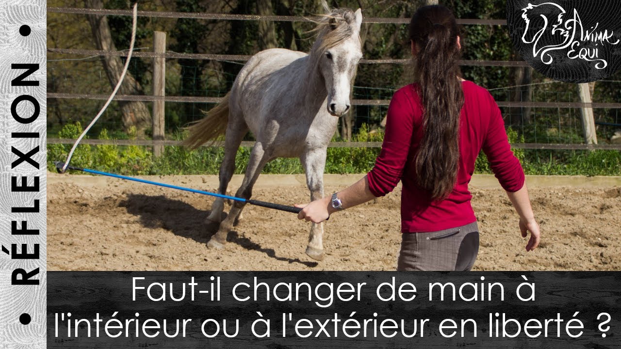 • RÉFLEXION • Faut-il changer de main à l'intérieur ou à l'extérieur ?