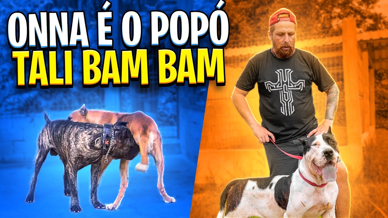 TALIBAN E ONNA SE DERAM BEM JUNTOS ?