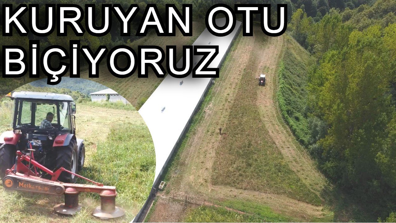 Tamburlu Ot Biçme Makinası ile Ot Biçiyoruz