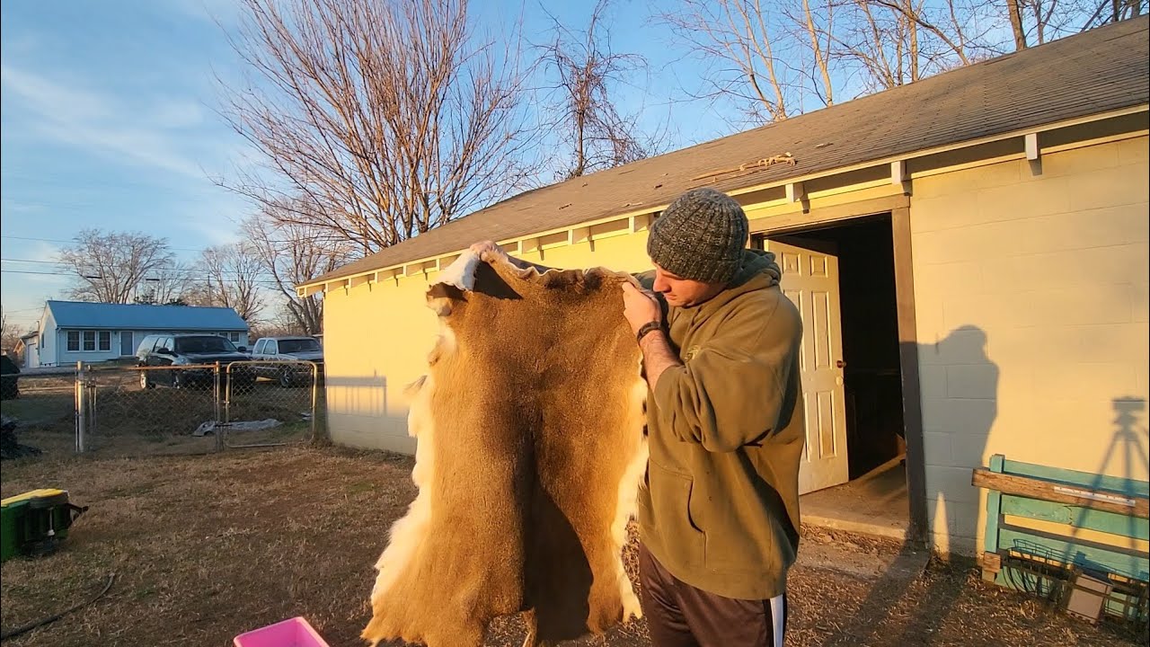 Tanning a deer hide