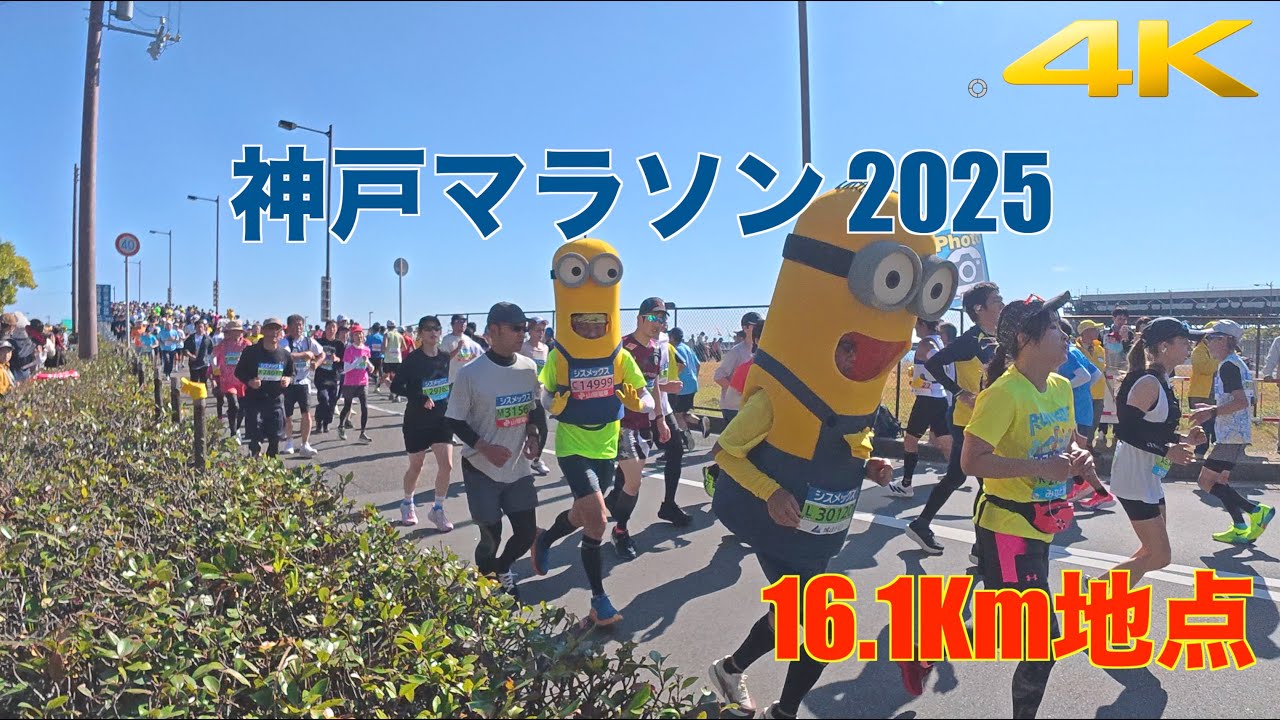 【4K】神戸マラソン2025 | 16.1Km地点 全ランナー | Kobe Marathon 2025 | all runners at 16.1K