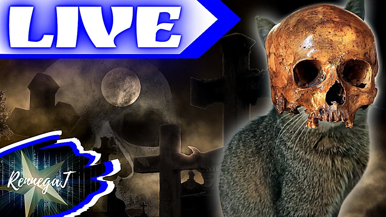 🔴🔴🔴 (( The Forest )) DENAZYFIKACJA KANIBALI I MUTANT&Oacute;W! (( Wypchany LIVE ))