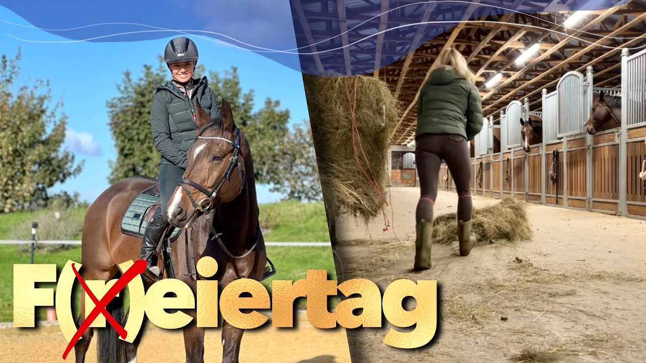 Probereiten, Pferd bleibt direkt bei uns | Ein Tag mit Strolch | Weekly Vlog 