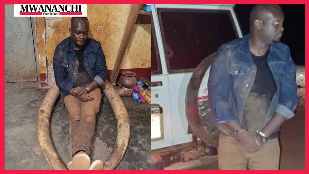 Meneja TRA Kibondo adakwa  kwa tuhuma  meno ya tembo