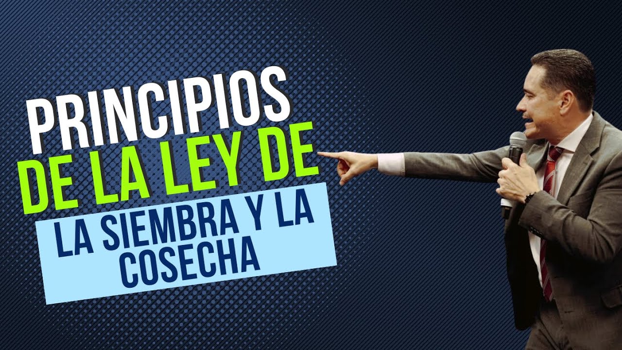 Principios de la ley de la siembra y la cosecha