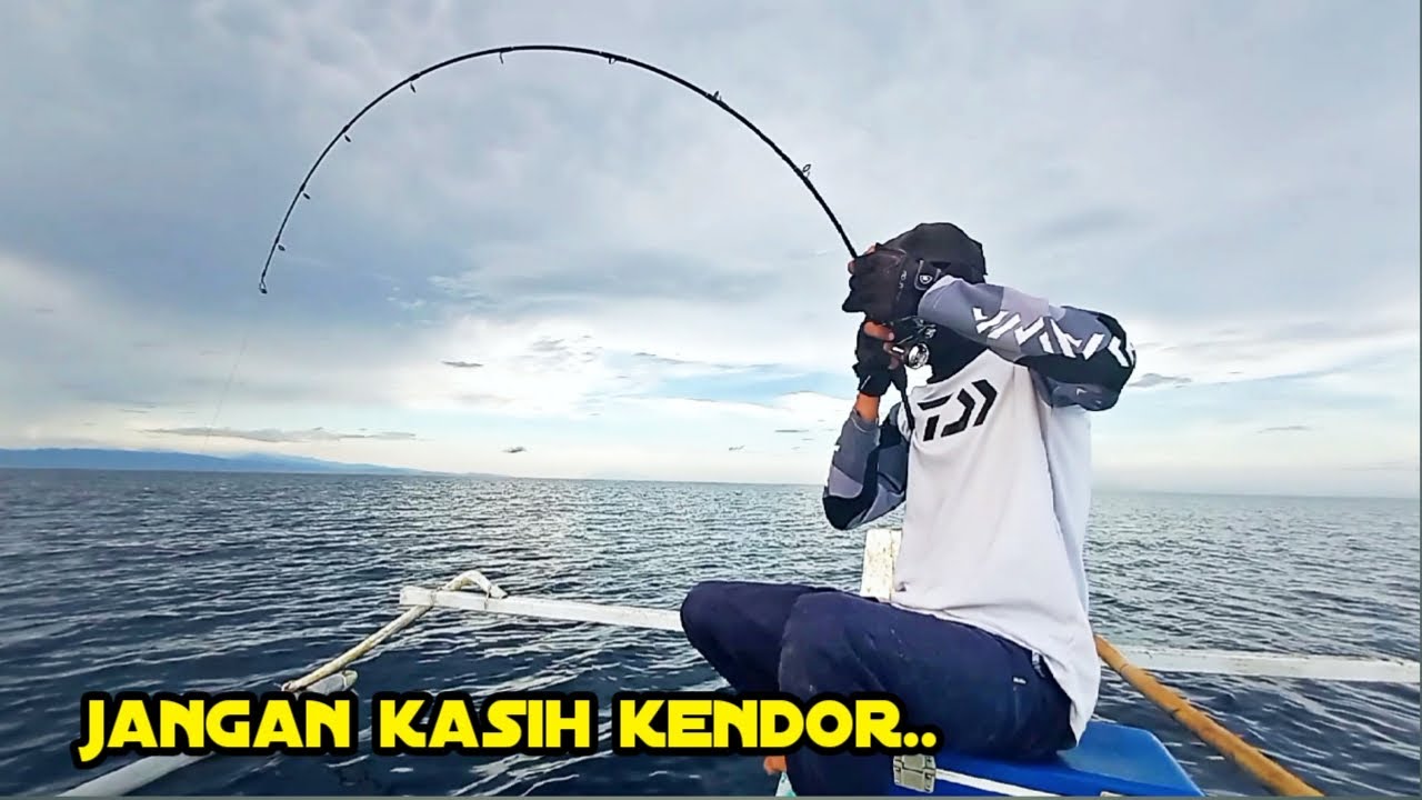 Adu kuat kenzi torzite ft kenzi savoy kz 30 di sarang amberjack dan ruby snapper | Teras pancing
