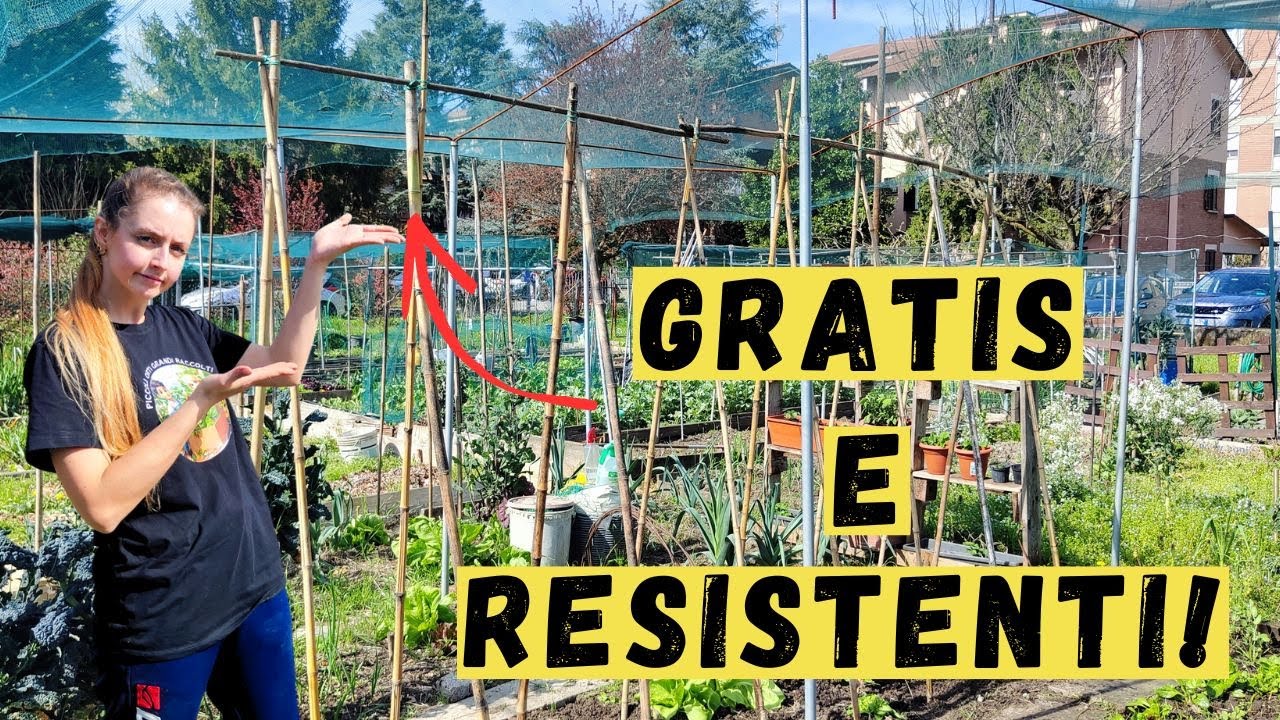 POMODORI Stabili e Forti! Ecco i SUPPORTI Fai-da-Te a Costo ZERO!