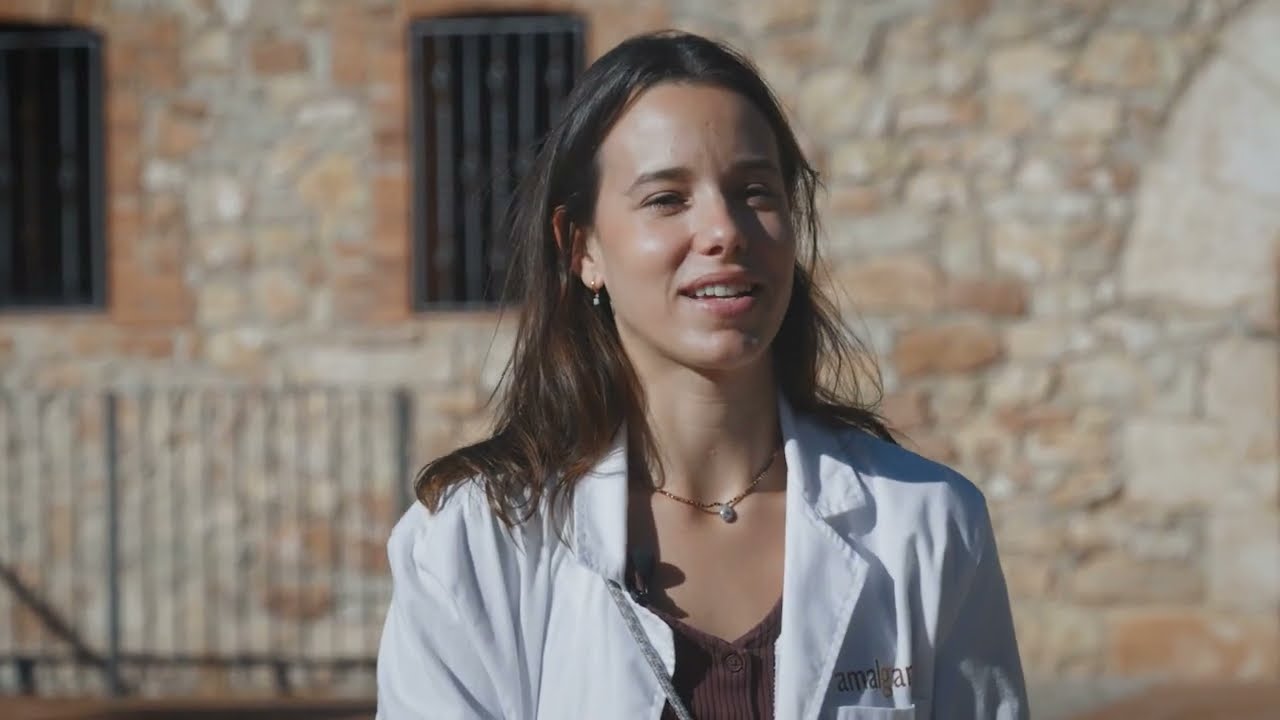 La Terapia de Proximidad en las Escuelas Terapéuticas de Amalgama7