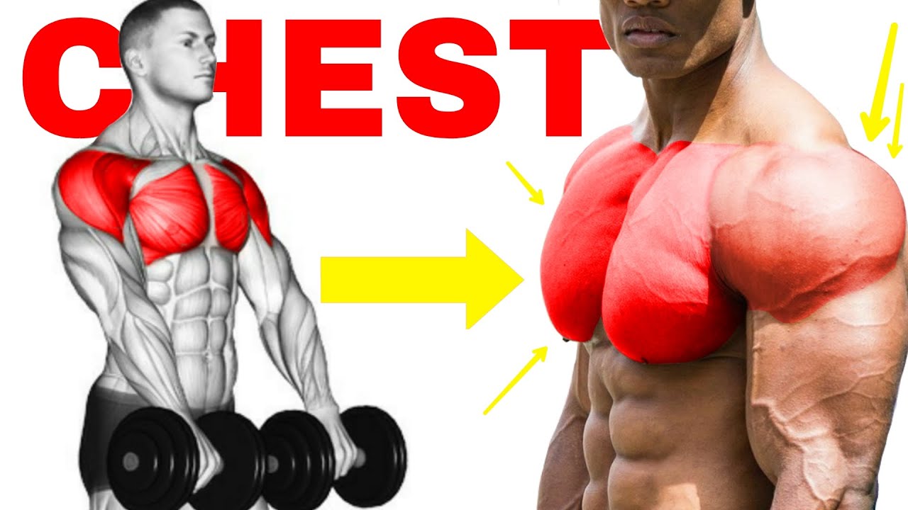 Super Treino de Peito e Ombro Com Halteres