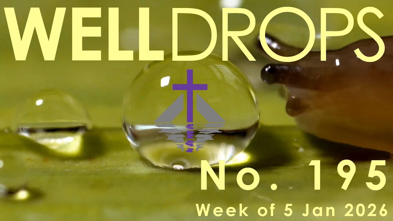 Well Drops No. 195: New Year; New Well Drops Content