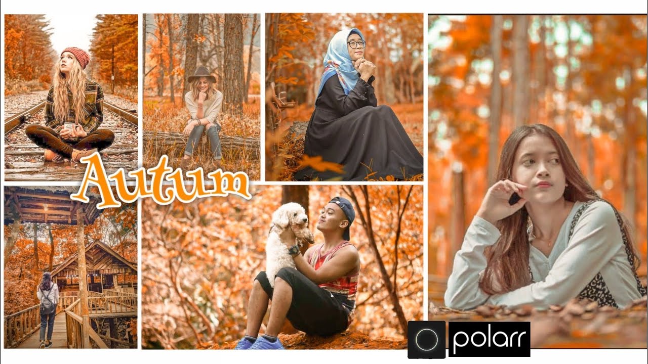 Cara edit foto pake hp || Autum filter || Tutorial Polarr