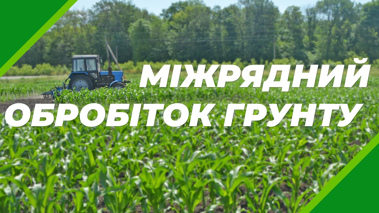 Міжрядний обробіток грунту