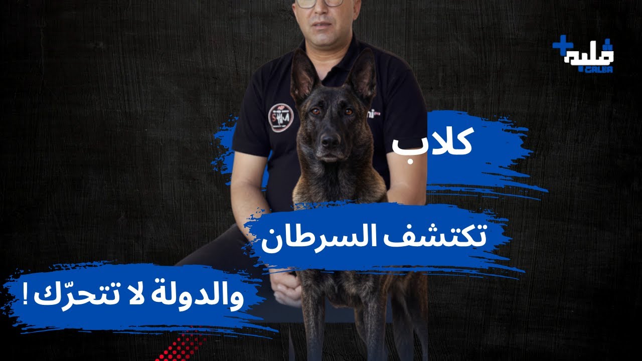 كلب يشم السرطان قبل ظهور الأعراض! 😱 اكتشف كيف يكشف سرطان الثدي بحاسة الشم