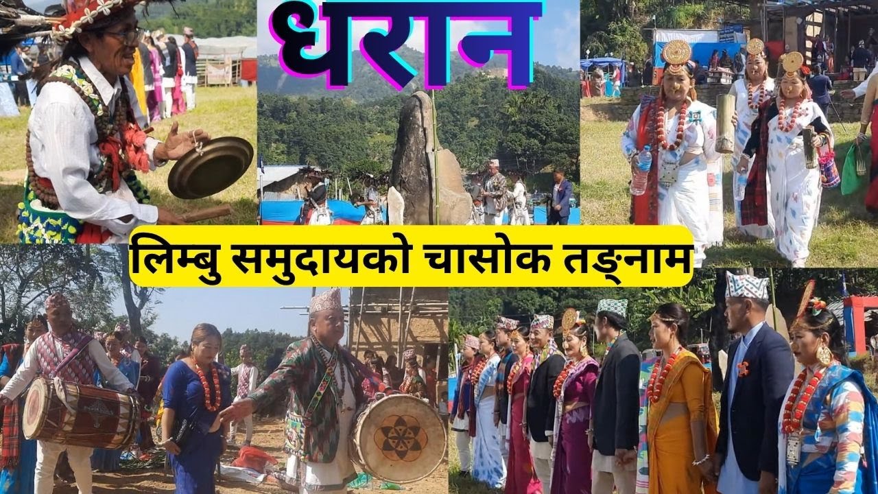 चासोक तङ्नाम २०८२ धरान-५ कगुने गाउँ ✨ Chasok Tangnam 2082 Dharan–5, Kaguna Village