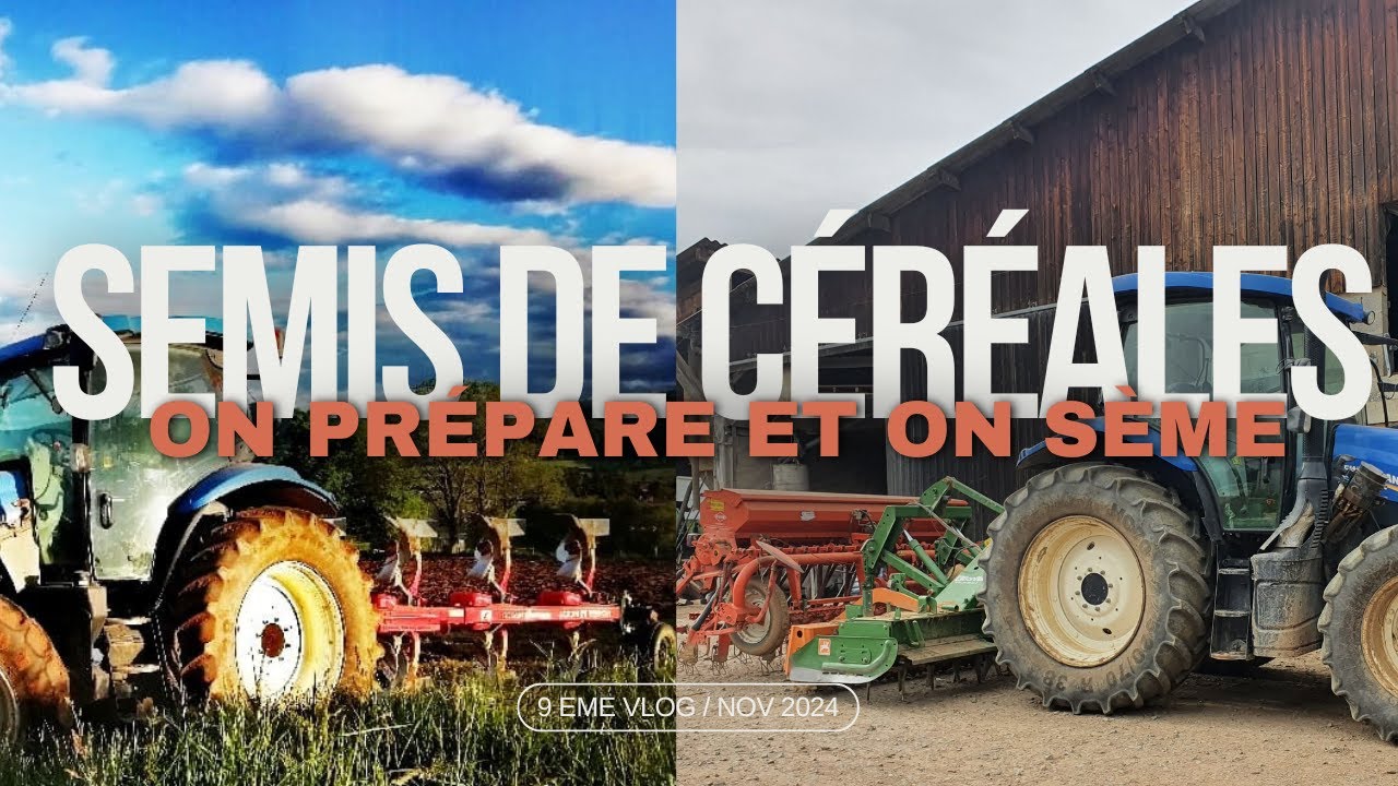 🌱 SEMIS de c&eacute;r&eacute;ales 2024 🌱