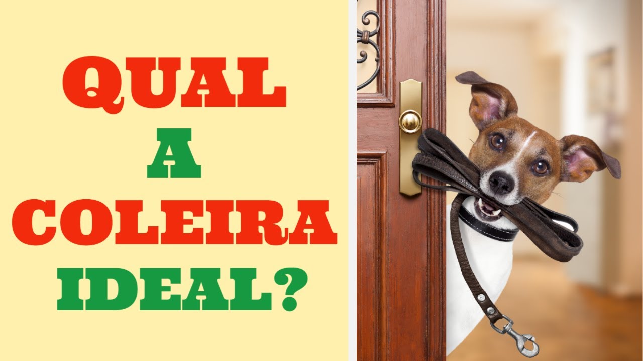 Qual &eacute; a COLEIRA IDEAL pro SEU cachorro?