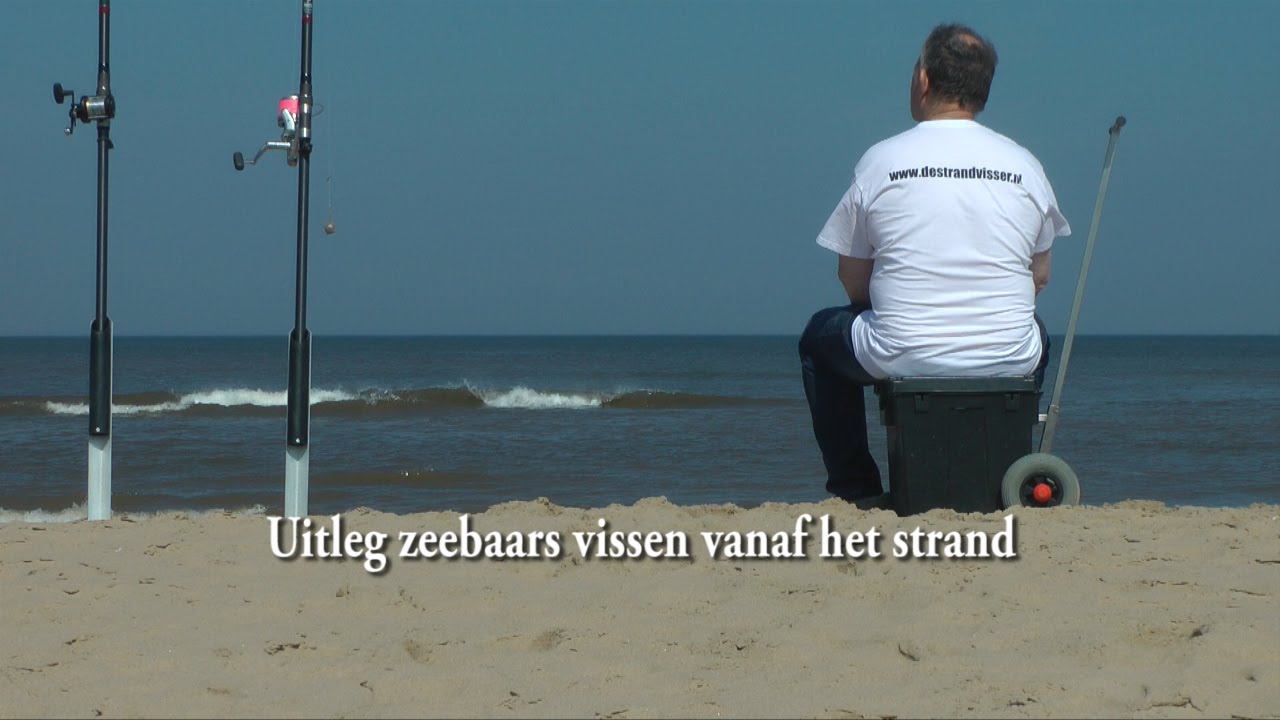 Uitleg zeebaars vissen vanaf het strand