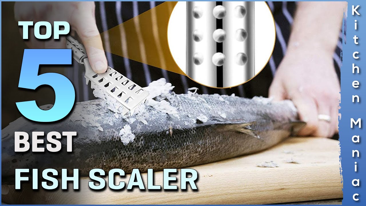 Top 5 Best Fish Scalers Review in 2025