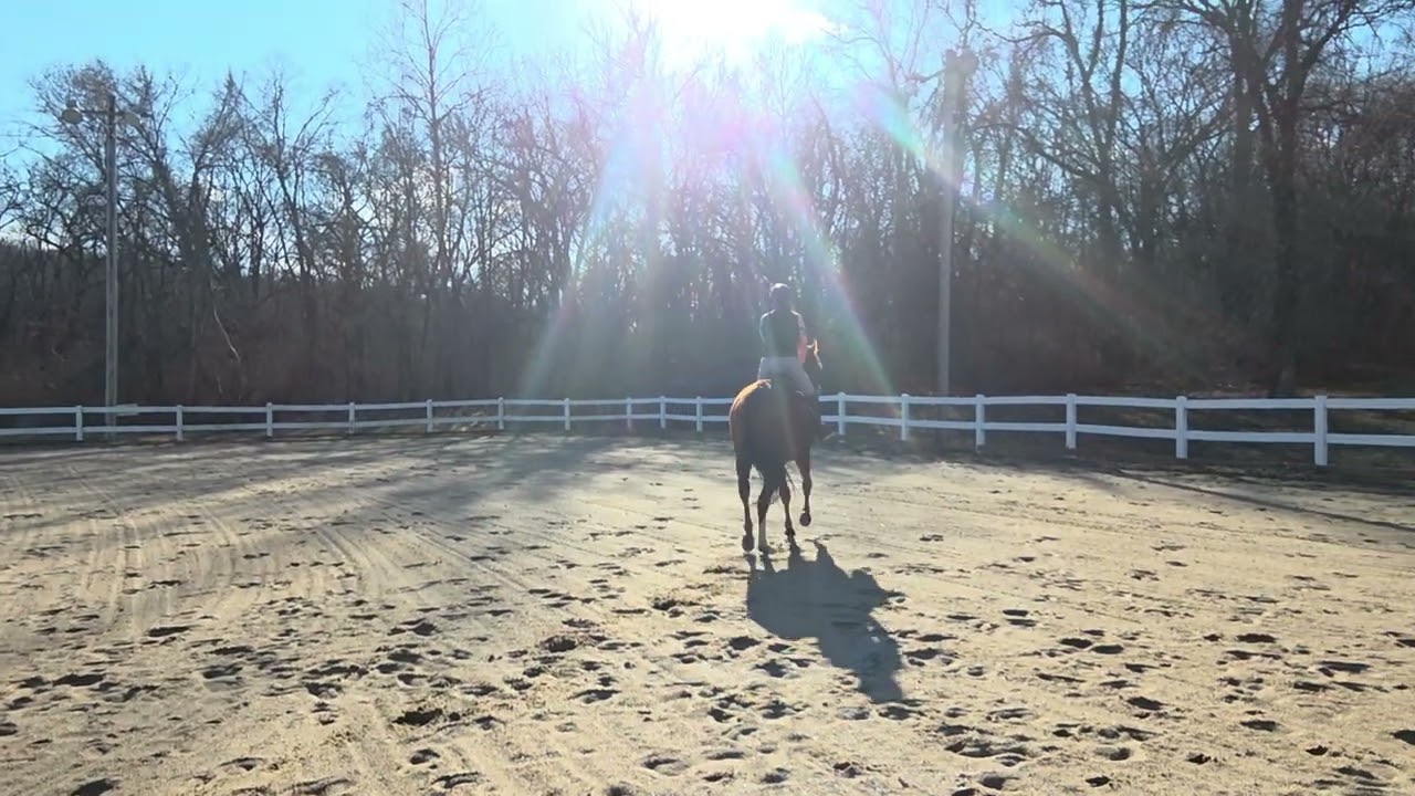 Alexis Trickett on Draft Choice 2.15.2026 RRP Flat video 