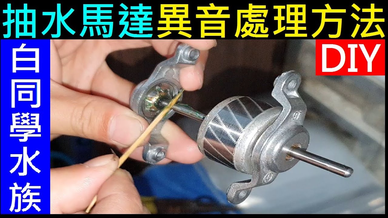 水族過濾抽水馬達異音處理方法【DIY抽水馬達分解保養】白同學水族DIY