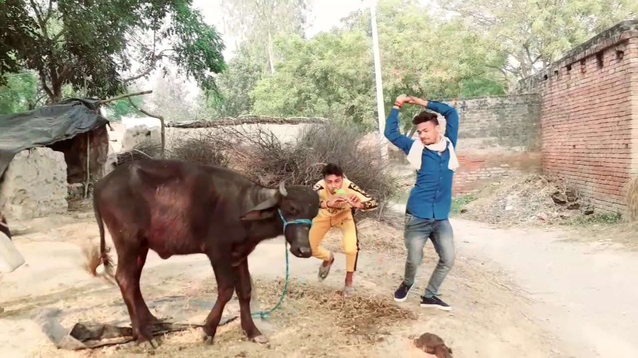 best 😆funny video👌 Indian// desi Dilip Raja
