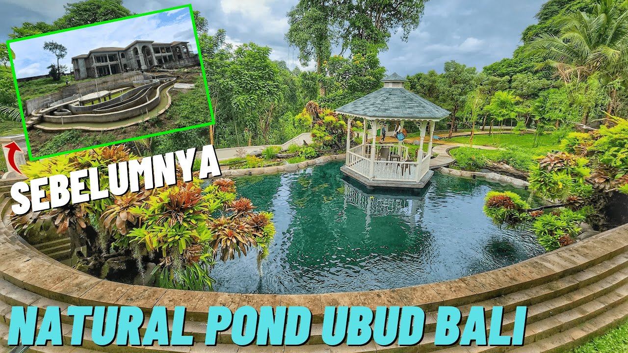 SALAH SATU KOLAM IKAN KOI NATURAL TERBESAR DI BALI !!!